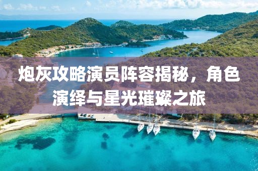 炮灰攻略演员阵容揭秘，角色演绎与星光璀璨之旅