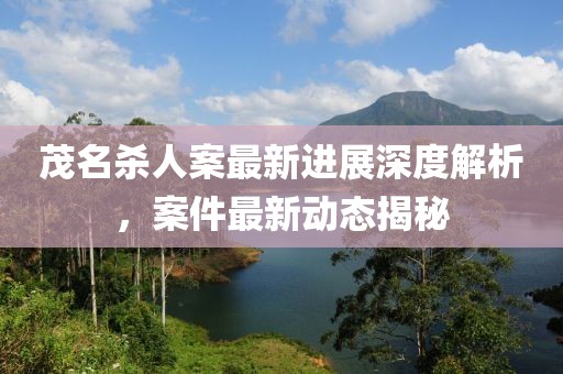 茂名杀人案最新进展深度解析，案件最新动态揭秘