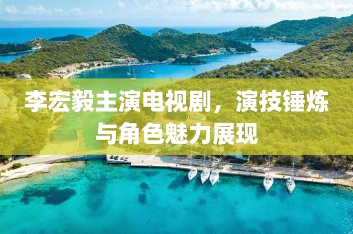 李宏毅主演电视剧，演技锤炼与角色魅力展现