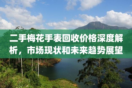 二手梅花手表回收价格深度解析，市场现状和未来趋势展望