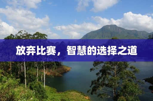 公司简介 第777页