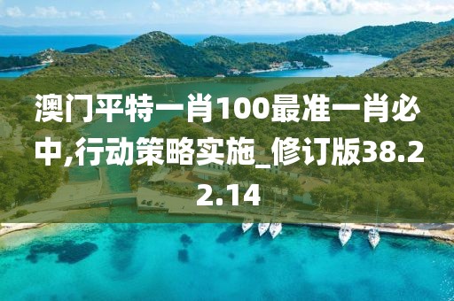 澳门平特一肖100最准一肖必中,行动策略实施_修订版38.22.14