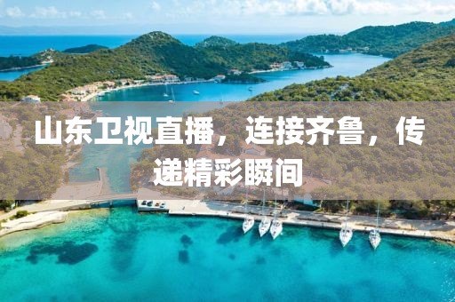 山东卫视直播，连接齐鲁，传递精彩瞬间