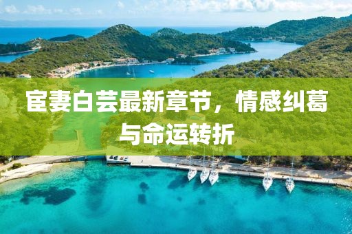 宦妻白芸最新章节，情感纠葛与命运转折