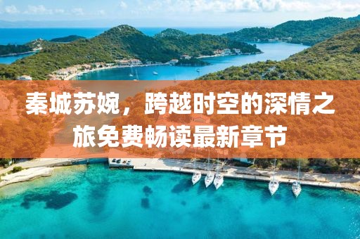秦城苏婉，跨越时空的深情之旅免费畅读最新章节
