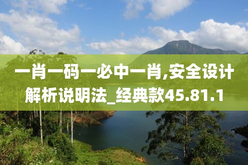 一肖一码一必中一肖,安全设计解析说明法_经典款45.81.1