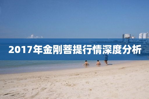 2017年金刚菩提行情深度分析