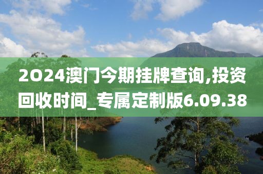 2O24澳门今期挂牌查询,投资回收时间_专属定制版6.09.38