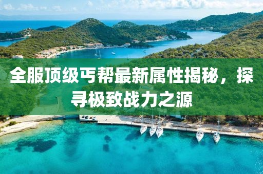 全服顶级丐帮最新属性揭秘，探寻极致战力之源