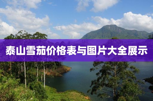 泰山雪茄价格表与图片大全展示