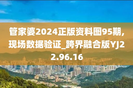 管家婆2024正版资料图95期,现场数据验证_跨界融合版YJ22.96.16