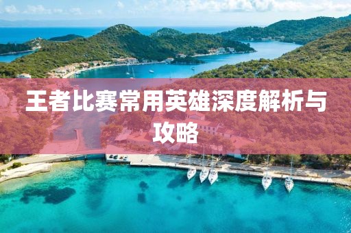 王者比赛常用英雄深度解析与攻略