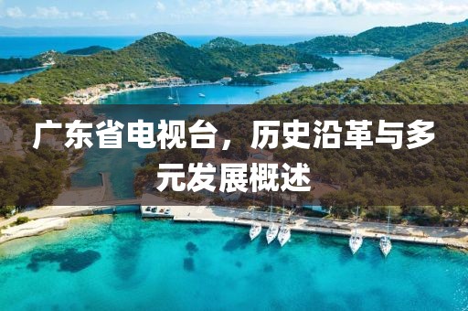 广东省电视台，历史沿革与多元发展概述