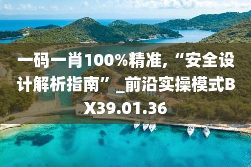 一码一肖100%精准,“安全设计解析指南”_前沿实操模式BX39.01.36