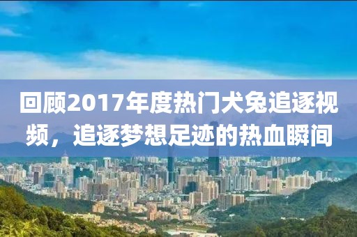 回顾2017年度热门犬兔追逐视频，追逐梦想足迹的热血瞬间