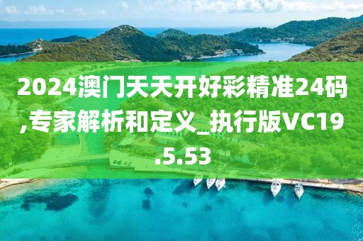 2024澳门天天开好彩精准24码,专家解析和定义_执行版VC19.5.53