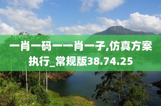 一肖一码一一肖一子,仿真方案执行_常规版38.74.25