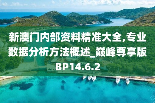 新澳门内部资料精准大全,专业数据分析方法概述_巅峰尊享版BP14.6.2