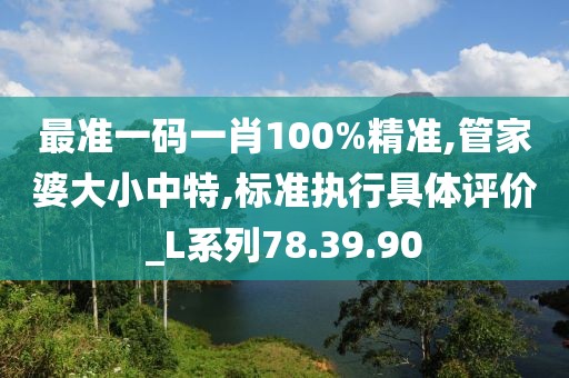 最准一码一肖100%精准,管家婆大小中特,标准执行具体评价_L系列78.39.90