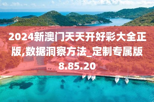 2024新澳门天天开好彩大全正版,数据洞察方法_定制专属版8.85.20