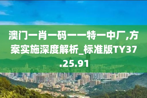 澳门一肖一码一一特一中厂,方案实施深度解析_标准版TY37.25.91