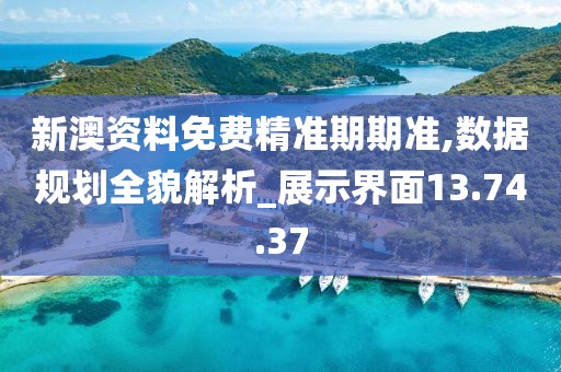 新澳资料免费精准期期准,数据规划全貌解析_展示界面13.74.37