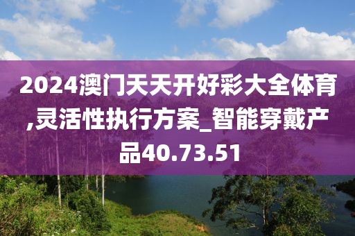2024澳门天天开好彩大全体育,灵活性执行方案_智能穿戴产品40.73.51