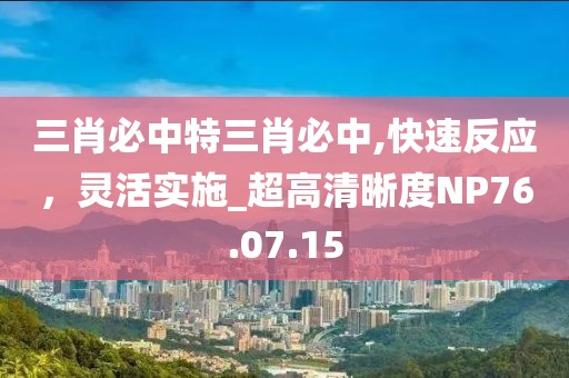 三肖必中特三肖必中,快速反应，灵活实施_超高清晰度NP76.07.15