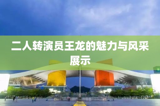二人转演员王龙的魅力与风采展示