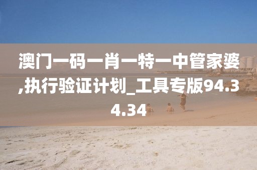 澳门一码一肖一特一中管家婆,执行验证计划_工具专版94.34.34
