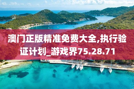 澳门正版精准免费大全,执行验证计划_游戏界75.28.71