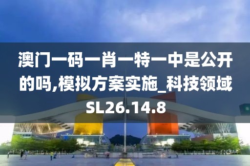 澳门一码一肖一特一中是公开的吗,模拟方案实施_科技领域SL26.14.8