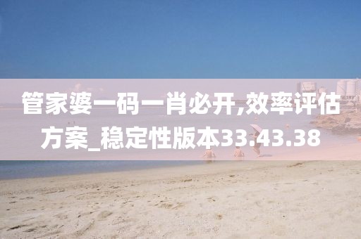 管家婆一码一肖必开,效率评估方案_稳定性版本33.43.38