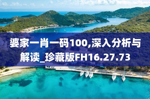 婆家一肖一码100,深入分析与解读_珍藏版FH16.27.73