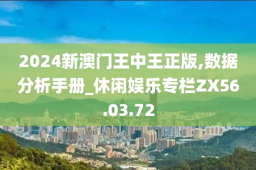 2024新澳门王中王正版,数据分析手册_休闲娱乐专栏ZX56.03.72