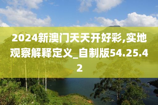 2024新澳门天天开好彩,实地观察解释定义_自制版54.25.42