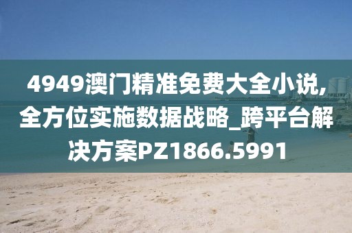 4949澳门精准免费大全小说,全方位实施数据战略_跨平台解决方案PZ1866.5991
