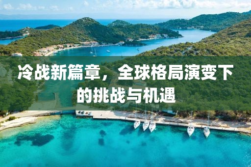 冷战新篇章，全球格局演变下的挑战与机遇