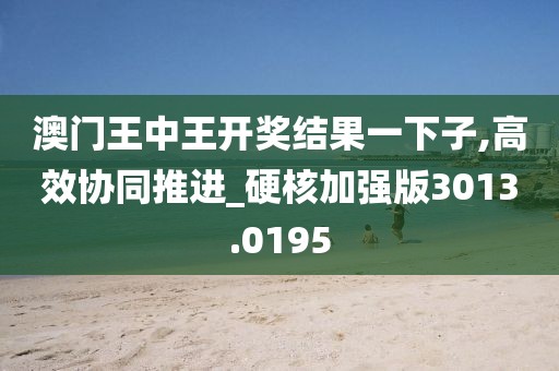 澳门王中王开奖结果一下子,高效协同推进_硬核加强版3013.0195