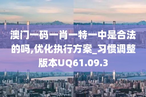澳门一码一肖一特一中是合法的吗,优化执行方案_习惯调整版本UQ61.09.3