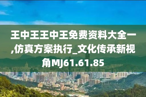王中王王中王免费资料大全一,仿真方案执行_文化传承新视角MJ61.61.85