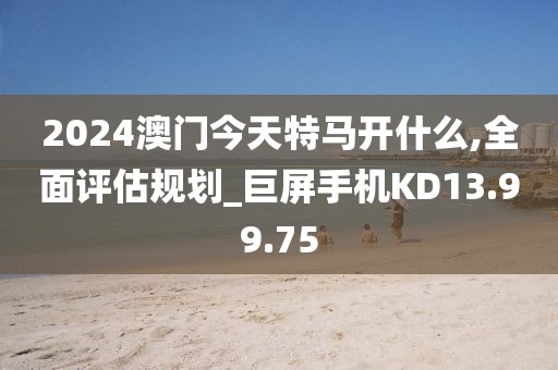 2024澳门今天特马开什么,全面评估规划_巨屏手机KD13.99.75
