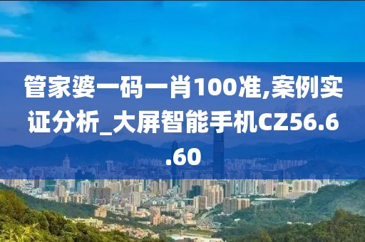 管家婆一码一肖100准,案例实证分析_大屏智能手机CZ56.6.60