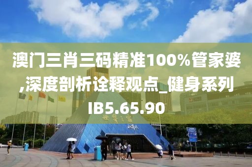 澳门三肖三码精准100%管家婆,深度剖析诠释观点_健身系列IB5.65.90