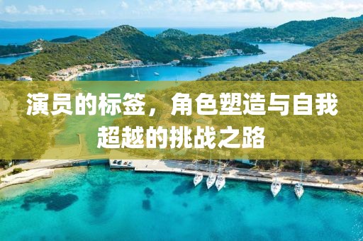 演员的标签，角色塑造与自我超越的挑战之路