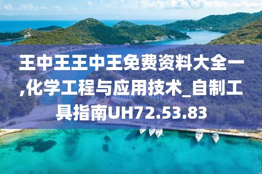 王中王王中王免费资料大全一,化学工程与应用技术_自制工具指南UH72.53.83