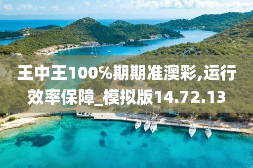 王中王100℅期期准澳彩,运行效率保障_模拟版14.72.13