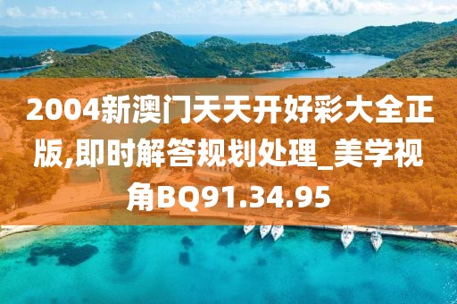 2004新澳门天天开好彩大全正版,即时解答规划处理_美学视角BQ91.34.95