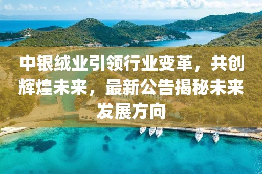 中银绒业引领行业变革，共创辉煌未来，最新公告揭秘未来发展方向