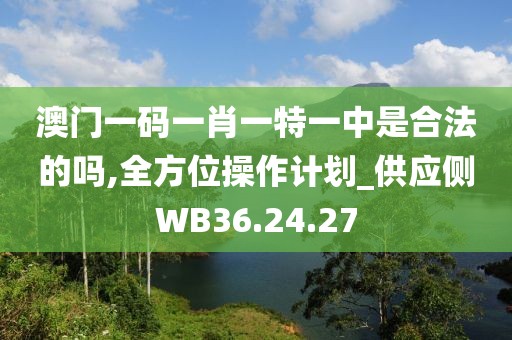 澳门一码一肖一特一中是合法的吗,全方位操作计划_供应侧WB36.24.27
